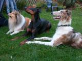 Sind wir nicht ein nettes Trio ?