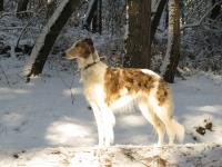 Winterimpressionen